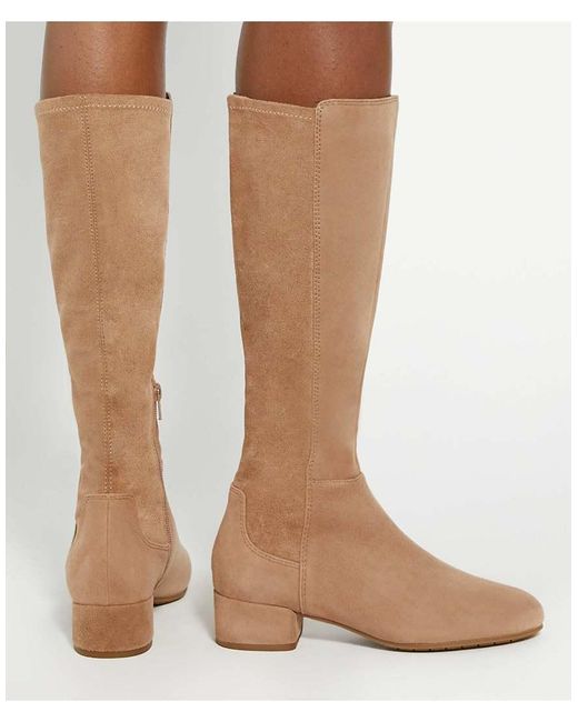Dune Brown Wide Fit Wf Tayla Knee High Boots