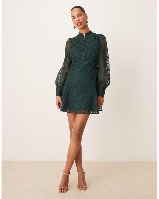 Forever New Green – kurzes skater-kleid aus spitze