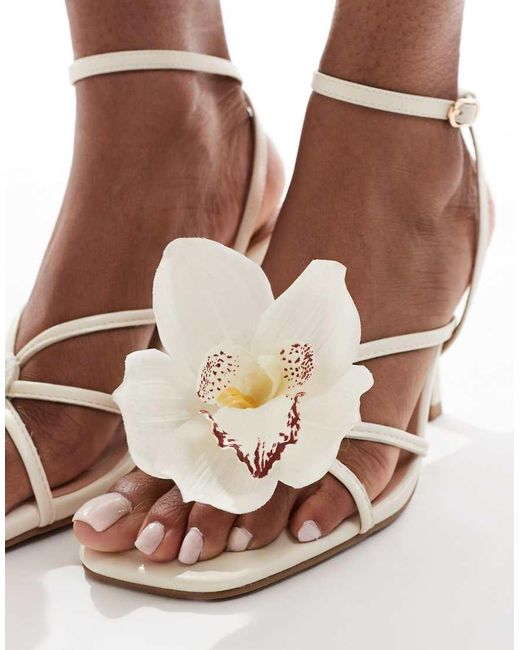 New Look Brown Orchid Trim Heeled Sandal