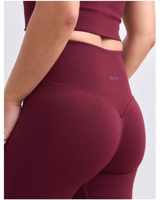 Aim'n Red Merlot Shape Seamless Tall Tights