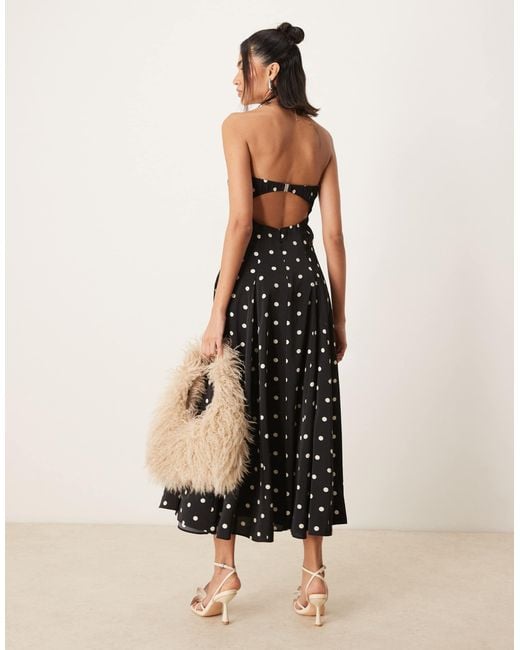 zebra dress Wild Elegance: Zebra Dress
