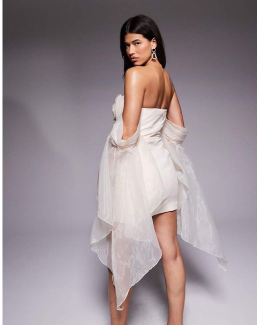 ASOS Gray Organza Sleeve Corsage Mini Dress