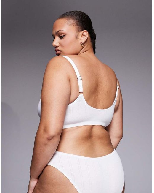 ASOS White Asos Design Curve Evie Pointelle Bralette With Rosebud Trim