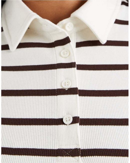 ASOS Multicolor Asos Design Curve Ribbed Shrunken Polo Top