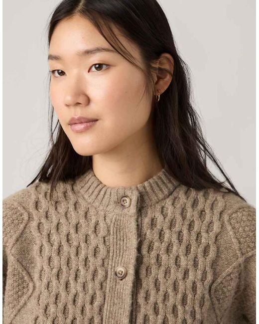 Levi's Brown Charlotte Crewneck Cardigan