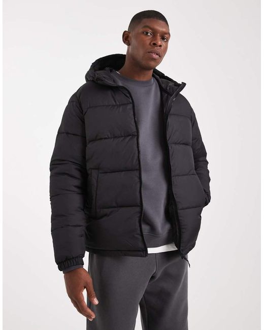 JJ Rebel Blue Puffer Jacket With Hood for men