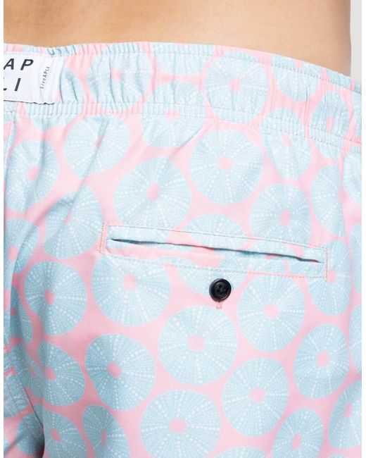 Apreslife White Urchin Swim Shorts for men