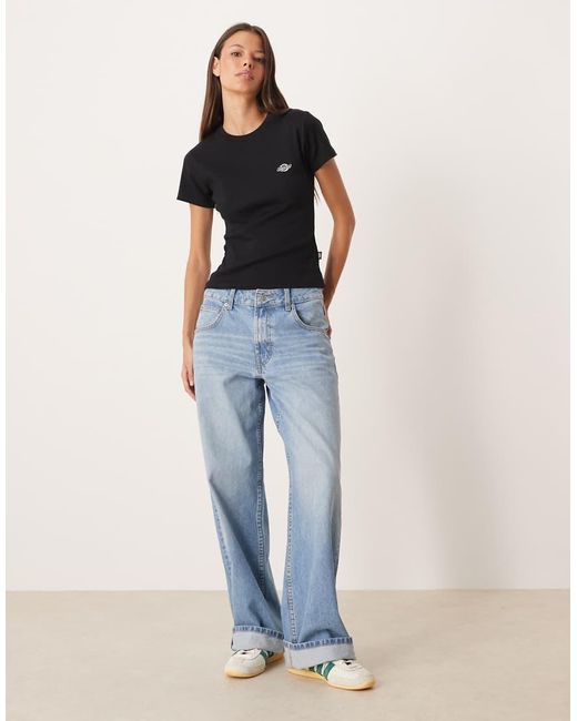 Dickies Gladeville in het Black