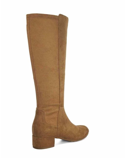 Dune Brown Tayla Knee High Boots