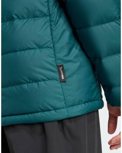 Adidas Originals Terrex Multi Light Down Climawarm Kapuzenjacke in Green für Herren