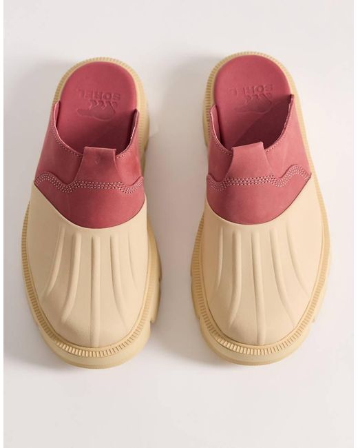 Sorel Pink Rein Clog