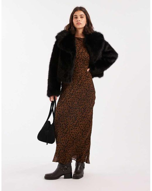 Giacca Corta di Miss Selfridge in Black
