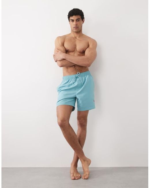 Threadbare Blue Swim Shorts With Flamingo Graphic for men