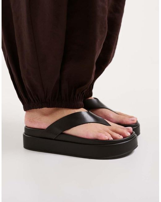 Tony Bianco Brown Jetta Toe Thong Flatform Sandals