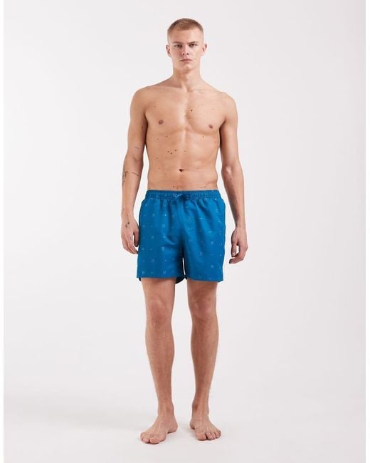 Nike Blue Nike 5 Inch Volley Full Lined Swim Shorts for men