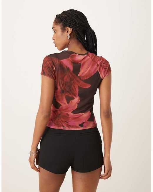 ASOS Multicolor Sheer Mesh Baby Tee