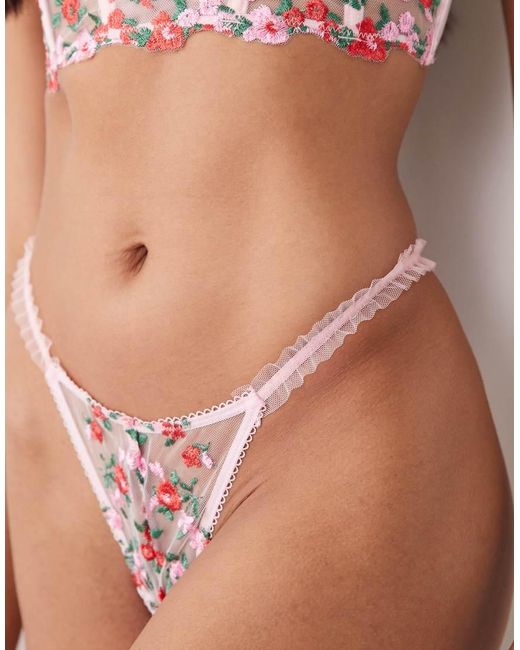 Wild Lovers Pink Suzette Embroidered Floral Mesh Briefs