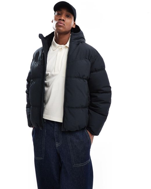 Hollister – wattierter mantel in Blue für Herren