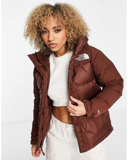 The North Face Brown Himalayan Down Parka Coat