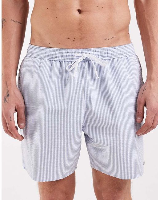 Lacoste Blue Classic Logo Stripe Swim Shorts for men