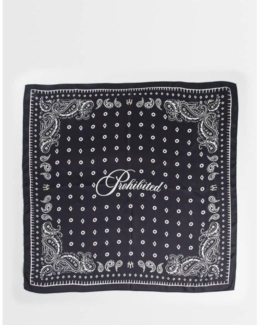 Prohibited Blue Logo Scarf