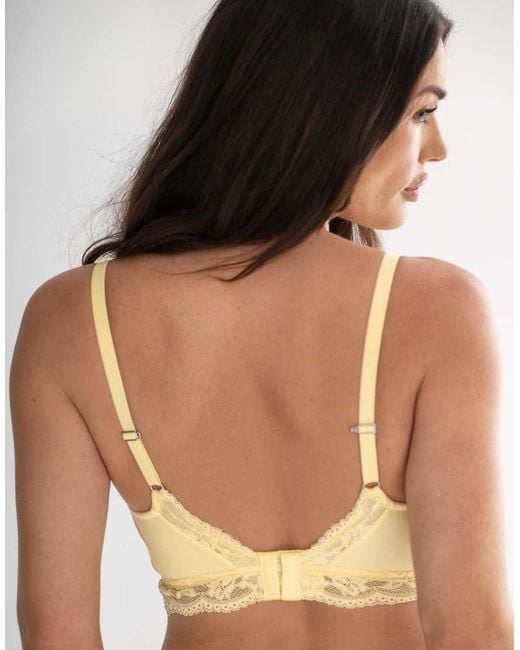 Pour Moi Brown Love To Lounge Lace And Modal Rib Non-Wired Bra B-G