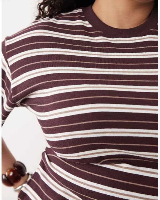 ASOS Asos Design Curve Textured Knit Corset Waist T-Shirt