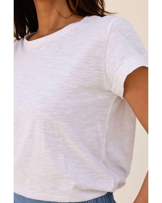 Aspiga White Sustainable Organic Cotton T-Shirt Round Neck
