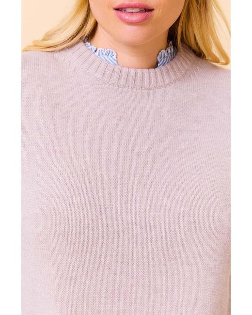 Aspiga Purple Ladies Sustainable Knitted Short Tank Top Vest Merino Wool