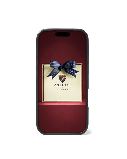 Aspinal Black Iphone 17 Pro Case
