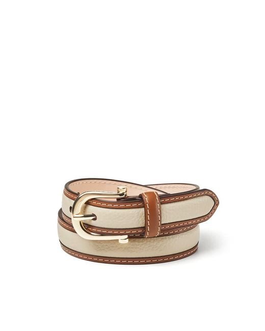 Aspinal Multicolor Bella Waist Belt