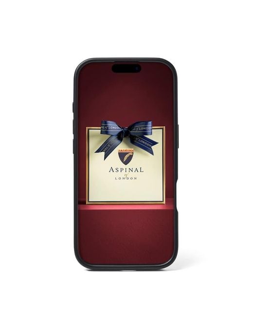 Aspinal Black Iphone 16 Pro-Hülle