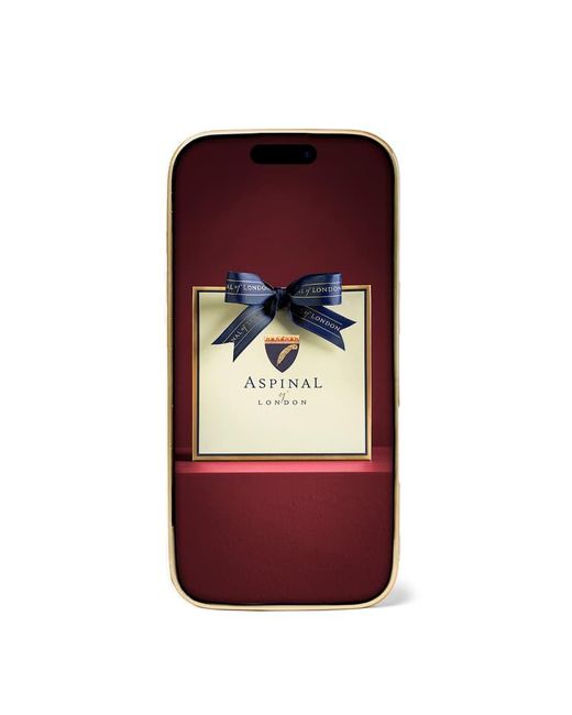 Aspinal Blue Iphone 16 Pro Case