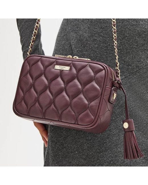 Aspinal Purple Alice