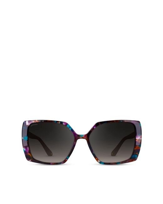 Aspinal Black Pavilion Sunglasses