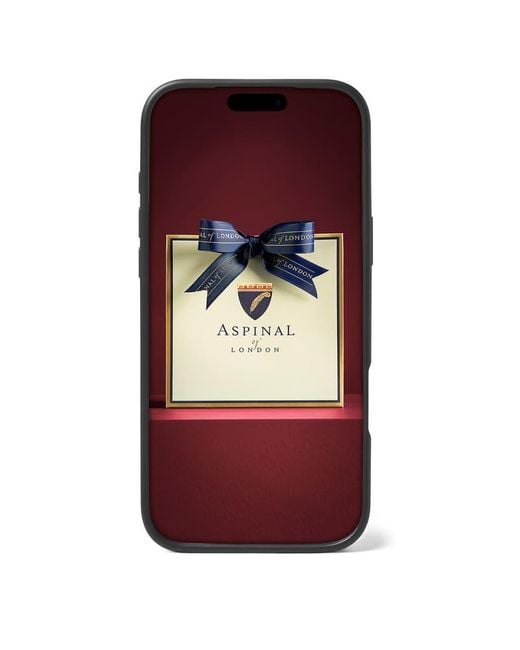 Aspinal Blue Iphone 17 Pro Max Case