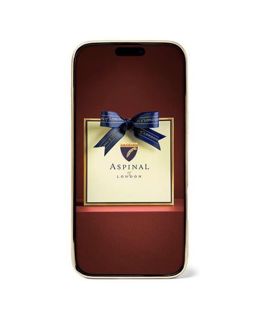 Aspinal Brown Iphone 16 Pro Max-Hülle
