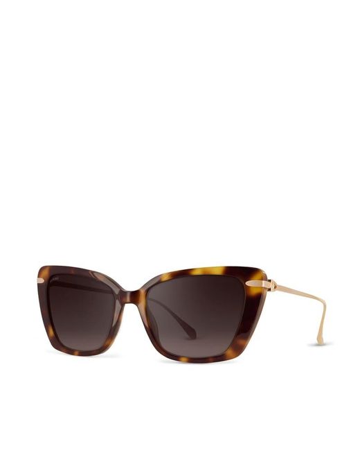 Aspinal Brown Resort Sunglasses