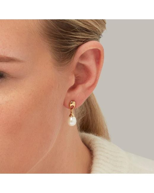 Aspinal Metallic Hampton Teardrop Pearl Earrings