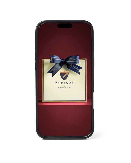 Aspinal Black Iphone 16 Pro Max-Hülle