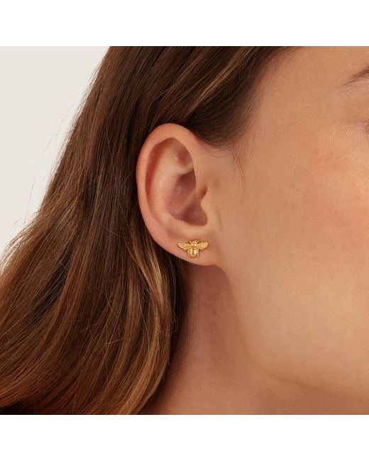 Aspinal Metallic Bee Stud Earrings