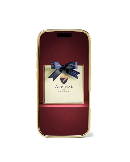 Aspinal Blue Iphone 17 Pro Case