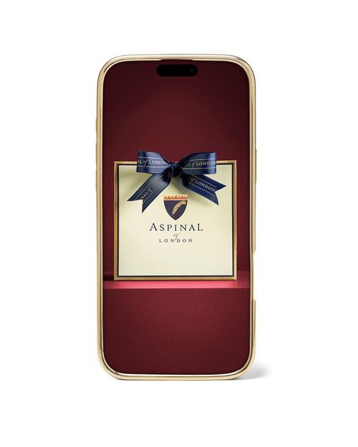 Aspinal Orange Iphone 16 Pro Max Case