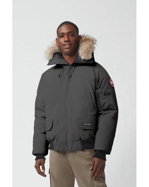 canada goose gobi