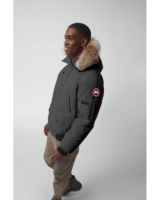canada goose gobi