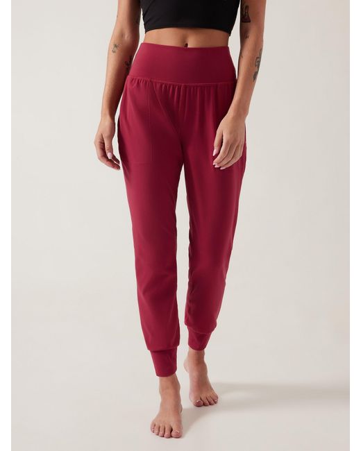 salutation jogger