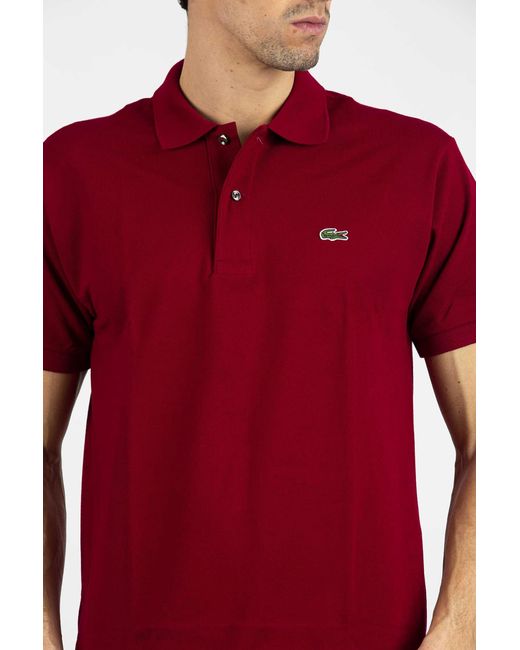 Lacoste Polo In Piquet in Burgundy (Red 