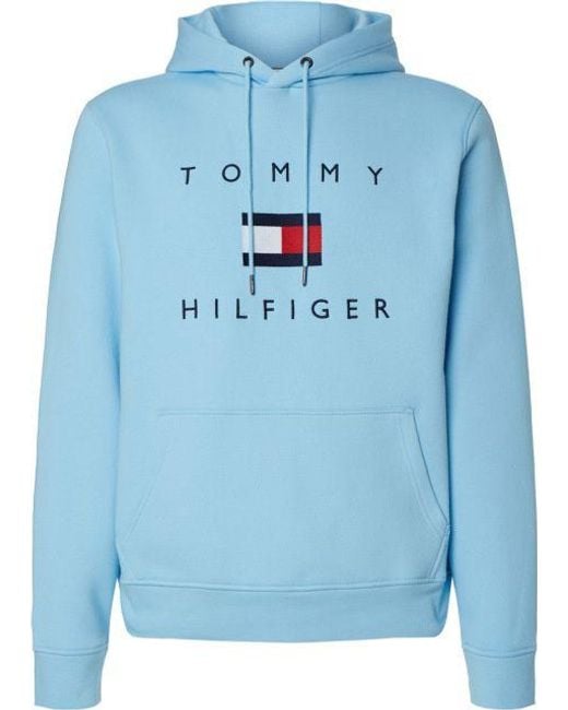 tommy hilfiger teal hoodie