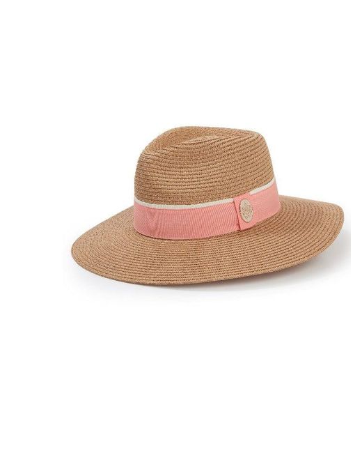 Brown Hemley Fedora Coral Hbheco | Lyst