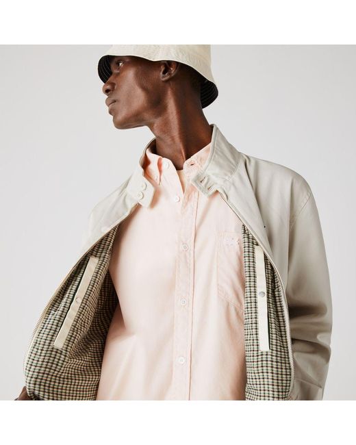 lacoste gingham jacket